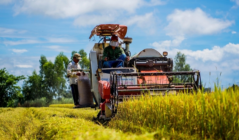Nhờ thắng lợi vụ lúa đông xuân 2020-2021, ngành nông nghiệp tỉnh An Giang luôn khuyến cáo nông dân đầu vụ chọn giống chất lượng cao để sản xuất, cũng là giống chủ lực của tỉnh