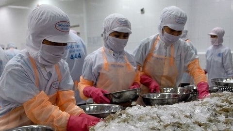 2 tháng đầu năm, có 67 thị trường nhập khẩu tôm của Việt Nam