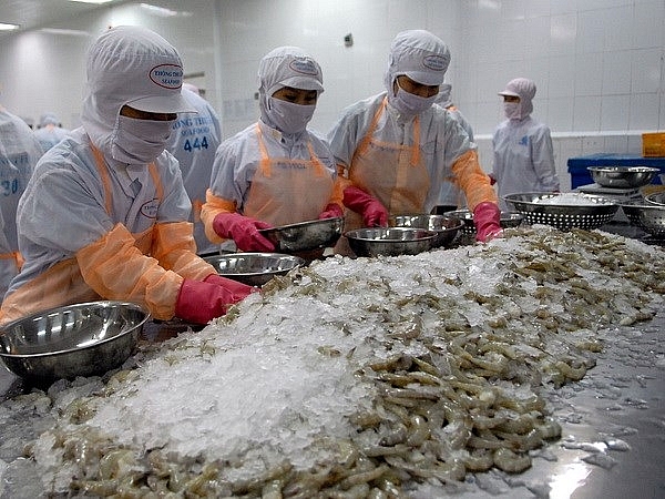2 tháng đầu năm, có 67 thị trường nhập khẩu tôm của Việt Nam