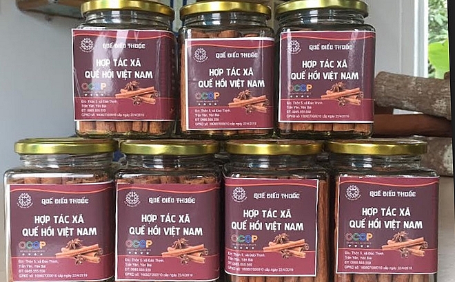 Sản phẩm quế điếu thuốc của HTX Quế hồi Việt Nam đạt chứng nhận OCOP 4 sao năm 2019 của tỉnh Yên Bái