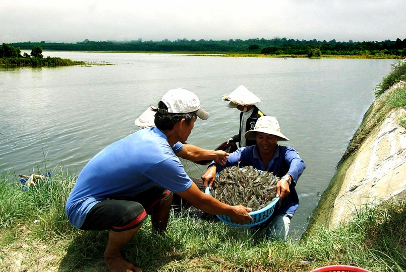 Vĩnh Phúc: Đến năm 2025, phấn đấu có khoảng 6.600 ha diện tích nuôi trồng thủy sản