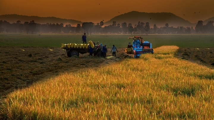 Đến năm 2025, phấn đấu tốc độ tăng trưởng nông nghiệp từ 2,5 - 3%/năm