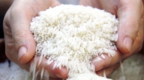 Giá gạo hôm nay 29/3: Trong nước giữ ổn định