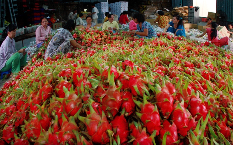 Xuất khẩu rau quả khởi sắc nhờ nhu cầu từ thị trường Trung Quốc tăng cao