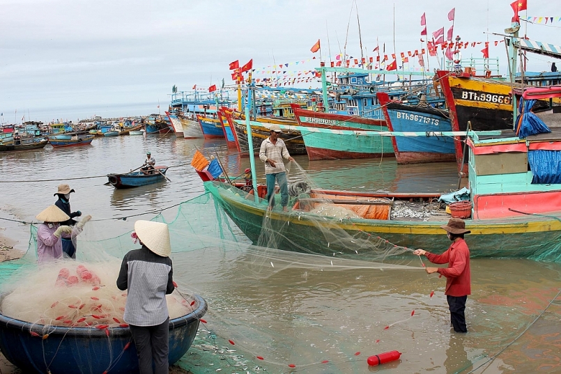 Bình Thuận: Hơn 93% tàu cá trên 15m đã lắp đặt thiết bị giám sát hành trình