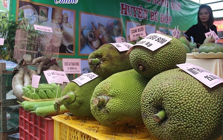 Hội chợ trái cây và hàng nông sản Bình Phước dự kiến được tổ chức trong tháng 6