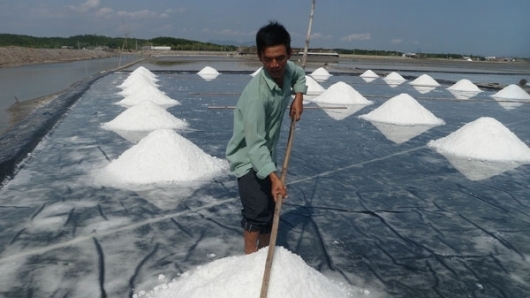 Bình Thuận: Tập trung sản xuất muối đáp ứng nhu cầu tiêu dùng và làm nguyên liệu sản xuất