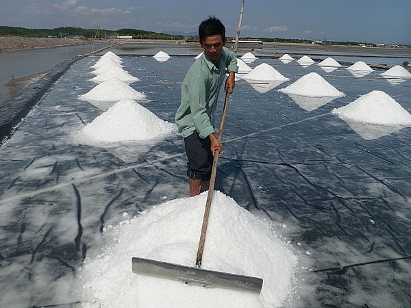 Bình Thuận: Tập trung sản xuất muối đáp ứng nhu cầu tiêu dùng và làm nguyên liệu cho các ngành công nghiệp