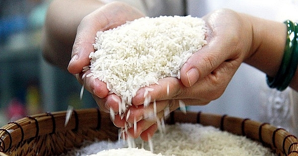 Giá gạo hôm nay 10/4: Trong nước tiếp tục giảm