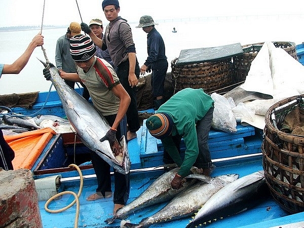 Xuất khẩu cá ngừ 2 tháng đầu năm đạt 85 triệu USD, giảm 10% so với cùng kỳ