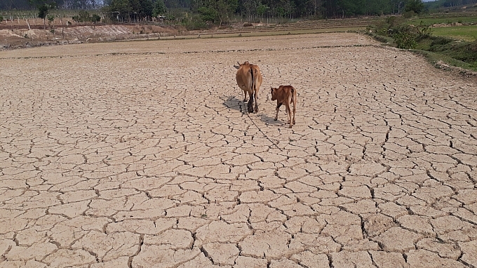 Phòng, chống hạn hán, thiếu nước sản xuất nông nghiệp và dân sinh mùa khô năm 2021