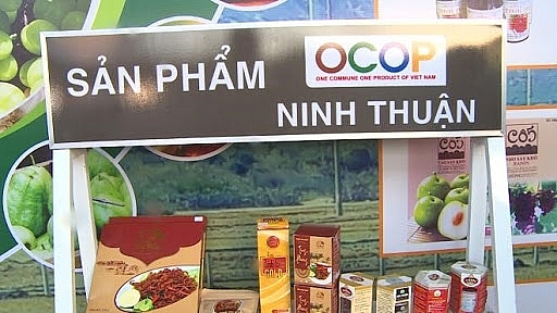 Bình Thuận: Thực hiện Chương trình mỗi xã một sản phẩm trong năm 2021