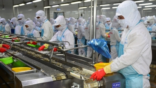 Việt Nam tiếp tục là thị trường cung cấp tôm lớn nhất cho Nhật Bản