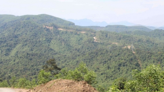 Thừa Thiên - Huế: Tăng cường công tác quản lý và bảo vệ rừng trên địa bàn tỉnh