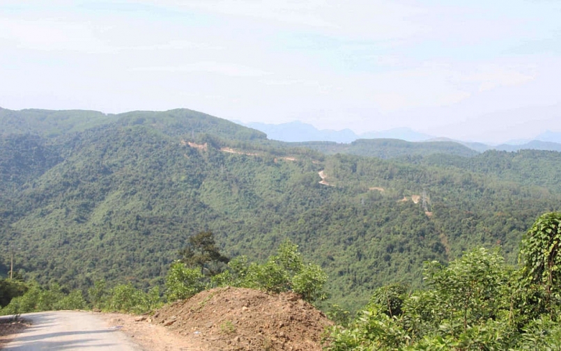 Thừa Thiên - Huế: Tăng cường công tác quản lý, bảo vệ rừng trên địa bàn tỉnh