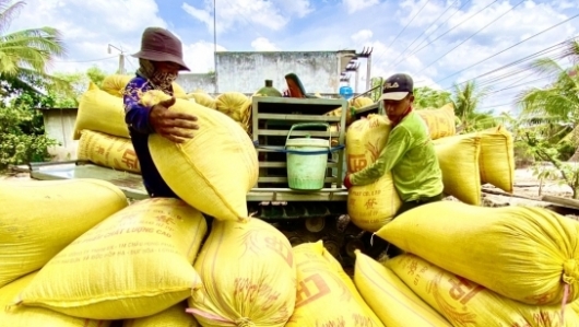Xuất khẩu gạo tăng tốc trở lại, thu về 362 triệu USD trong tháng 4