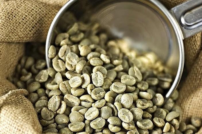 Giá cà phê hôm nay 11/5 giảm trung bình 500 đồng/kg
