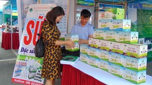 Hà Nội: Dự kiến tổ chức Hội chợ “Hàng Việt Nam được người tiêu dùng yêu thích" trong tháng 9