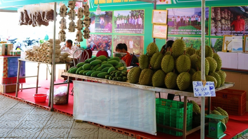 Tạm hoãn Hội chợ trái cây và hàng nông sản Bình Phước năm 2021