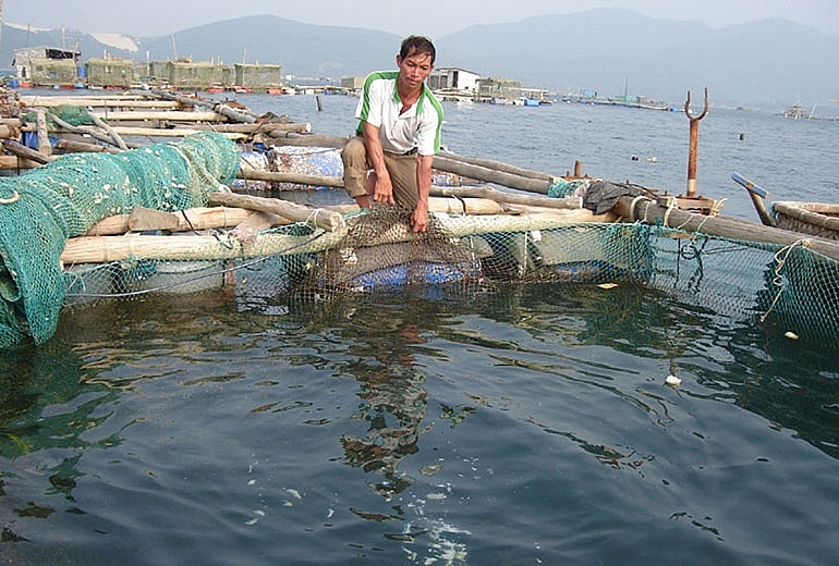 Phú Yên: Triển khai nhiệm vụ hợp tác phát triển nuôi biển