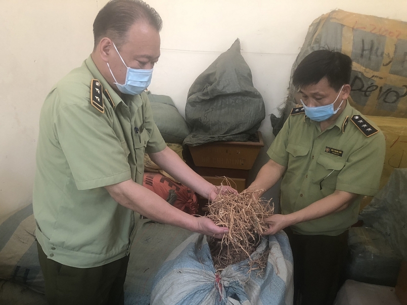 Lạng Sơn: Ngăn chặn 190 kg dược liệu không đảm bảo chất lượng