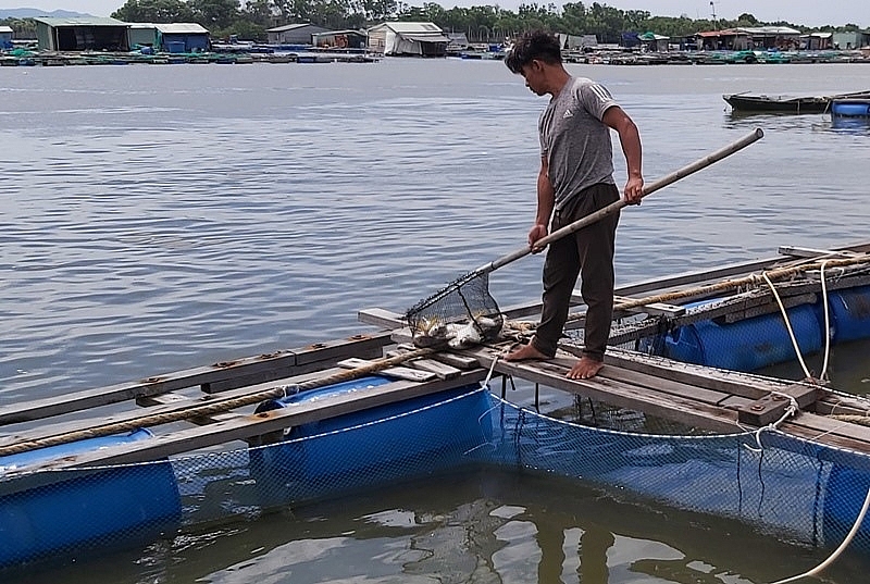 Quản lý lồng bè nuôi trồng thủy sản, giải tỏa đăng đáy và kinh doanh nhà hàng nổi trên sông Chà Và