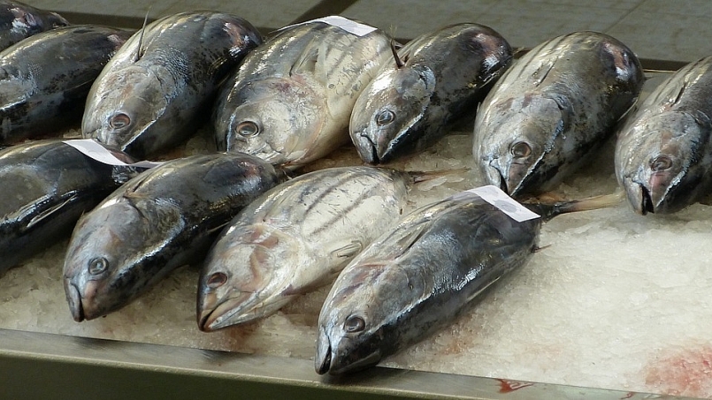 Xuất khẩu hải sản sang thị trường Hàn Quốc tăng trưởng khả quan