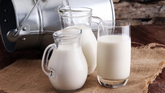 Nhập khẩu sữa và sản phẩm sữa các loại tăng nhẹ