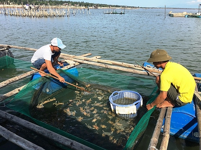 Thừa Thiên-Huế: Tăng cường các biện pháp phòng, chống dịch bệnh thủy sản