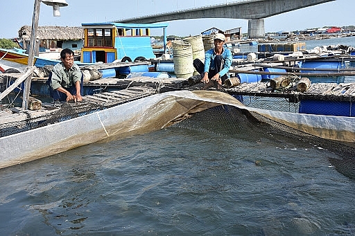 Bà Rịa - Vũng Tàu: Sản lượng nuôi trồng thủy sản trong tháng 5 đạt 1.553 tấn