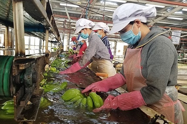 Trung Quốc chiếm gần 62% tổng kim ngạch xuất khẩu rau quả của Việt Nam
