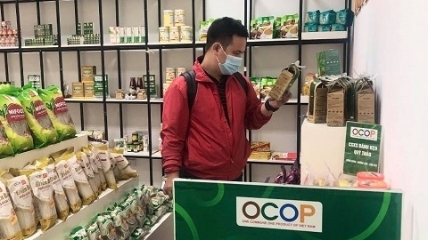 Hà Nội: Phấn đấu phát triển mới 30-40 điểm giới thiệu và bán sản phẩm OCOP trong năm 2021
