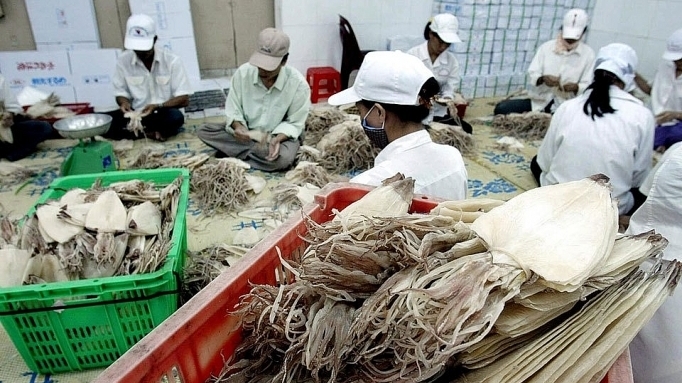 Xuất khẩu mực và bạch tuộc sang Trung Quốc tăng 21%