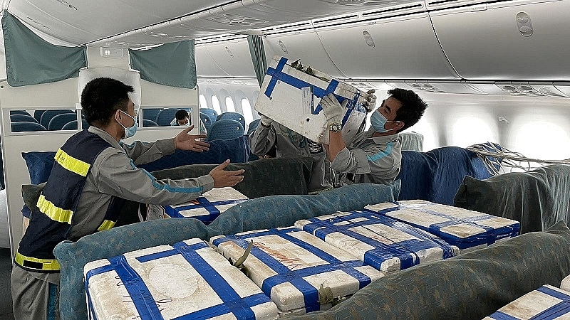 Bộ Giao thông vận tải đề nghị các hãng hàng không giảm giá cước vận chuyển vải thiều Bắc Giang