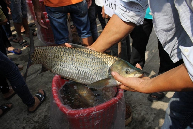 Quảng Bình: Tăng cường chỉ đạo phát triển nuôi trồng thủy sản năm 2021 