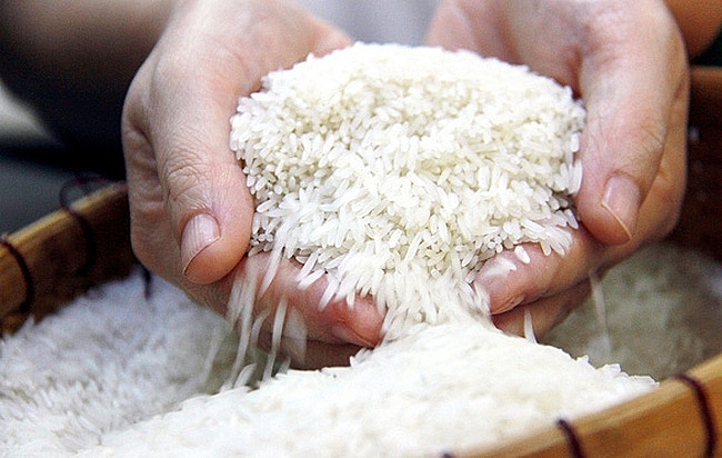 Bất chấp dịch Covid-19, xuất khẩu gạo ST24 tăng phi mã hơn 500%