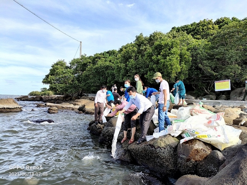 Cà Mau: Thả giống phóng sinh tái tạo các loài thủy sản ven bờ