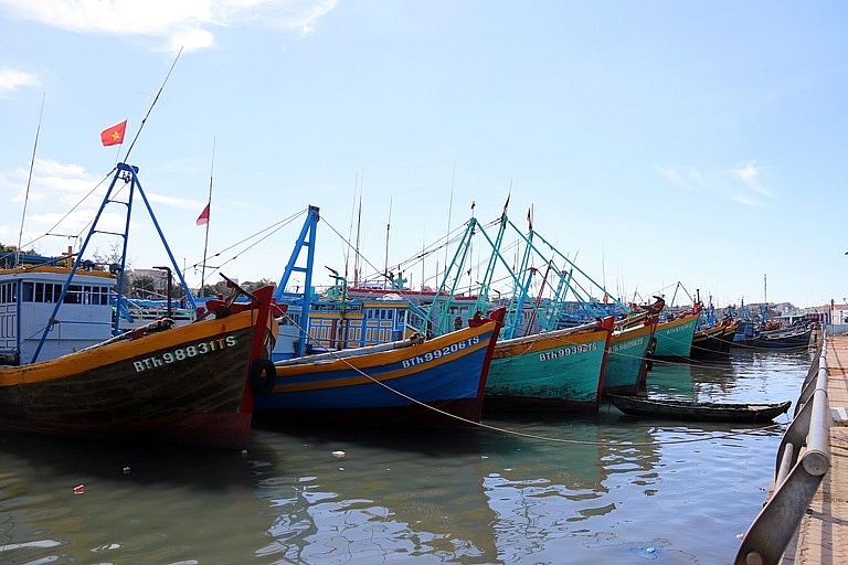 Bình Thuận: Tiếp tục ngăn chặn tàu cá vi phạm vùng biển nước ngoài, vi phạm khai thác IUU