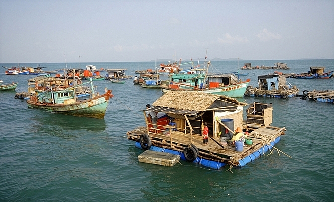 Kiên Giang: Phát triển nuôi biển theo hướng bền vững trên địa bàn tỉnh