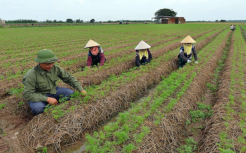 Bắc Ninh: GRDP 6 tháng đầu năm tăng 7,45% so với cùng kỳ