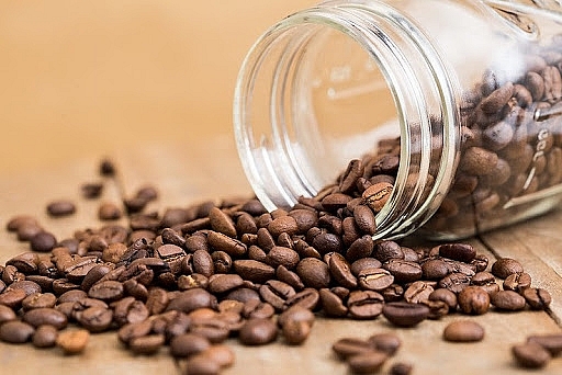 Giá cà phê hôm nay 3/7: Giảm nhẹ 100 - 200 đồng/kg