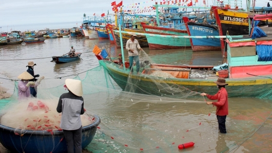 Bình Thuận:  1.808 tàu cá đã lắp đặt thiết bị giám sát hành trình