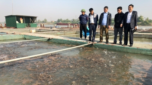 Bắc Ninh: Đẩy mạnh chuyển giao khoa học công nghệ vào sản xuất thủy sản
