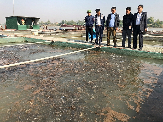 Bắc Ninh: Đẩy mạnh chuyển giao khoa học công nghệ vào sản xuất thủy sản