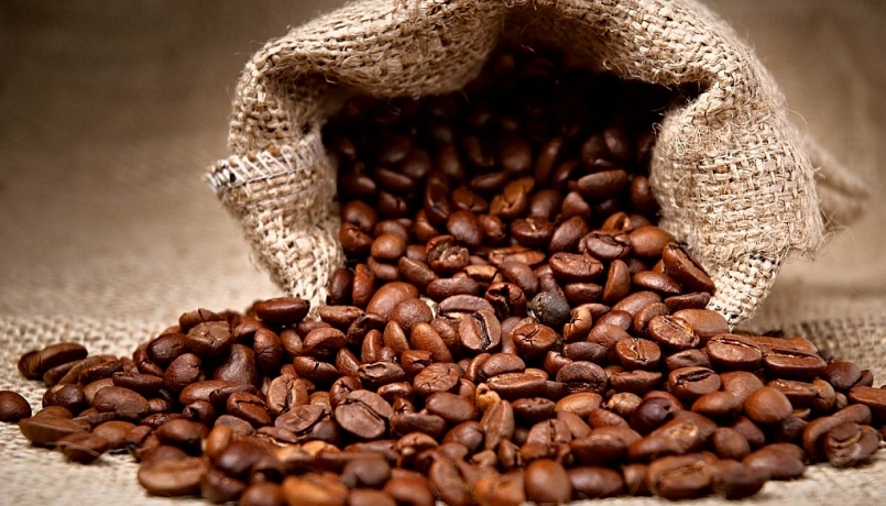 Giá cà phê hôm nay 14/7: Giảm nhẹ 200 đồng/kg