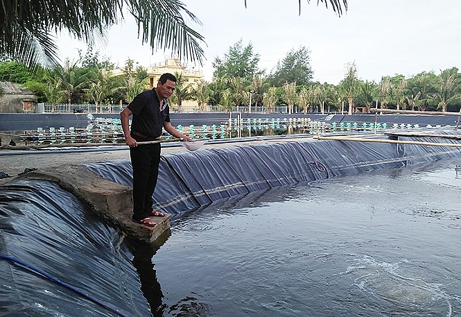 Quảng Bình: Tập trung phòng, chống một số dịch bệnh nguy hiểm trên thủy sản nuôi giai đoạn 2021-2030