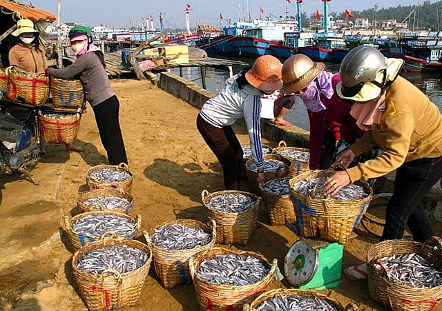 Kiên Giang: Chấn chỉnh tàu cá lên hàng thủy sản sai cảng cá chỉ định