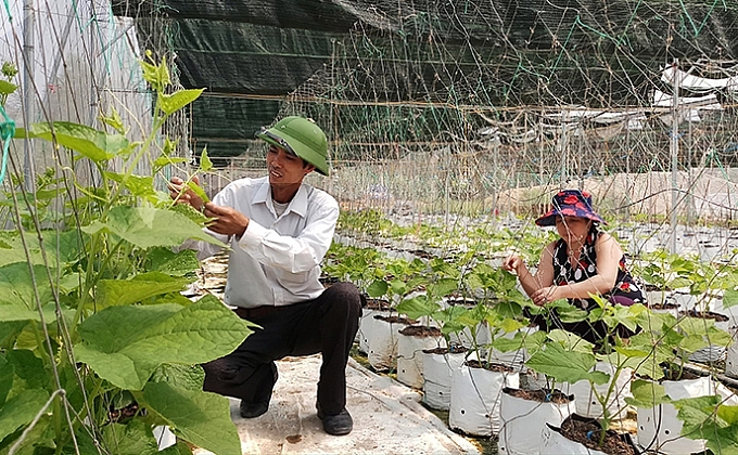 Quảng Bình:  Phê duyệt Chương trình Khuyến nông tỉnh Quảng Bình giai đoạn 2021 - 2025