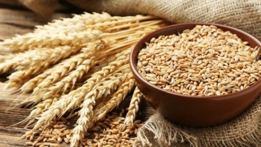 6 tháng đầu năm, nhập khẩu lúa mì từ thị trường Australia tăng rất mạnh