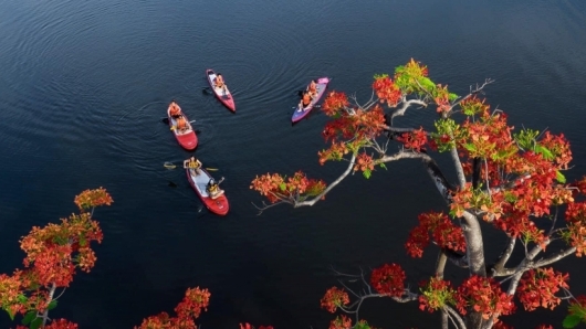 Du lịch Huế, trải nghiệm chèo thuyền Sup trên sông Hương